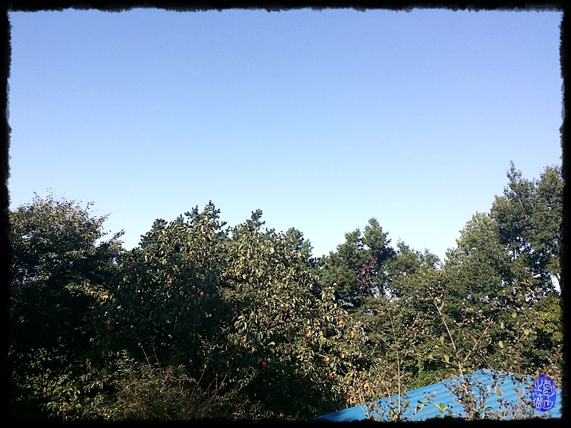 20141004_082607