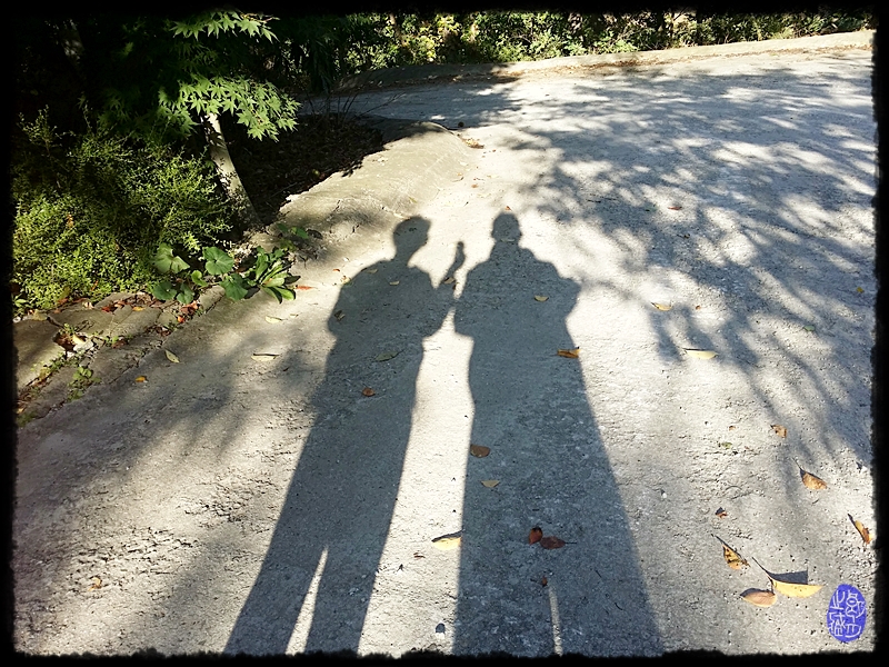20141004_082911