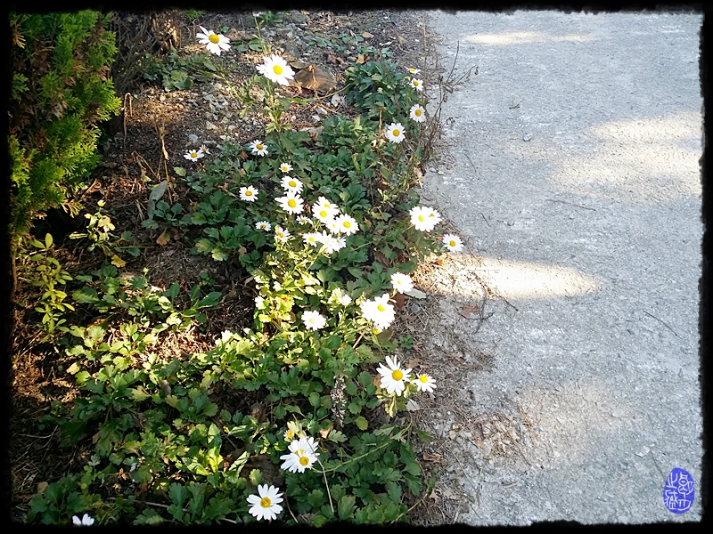 20141004_084139