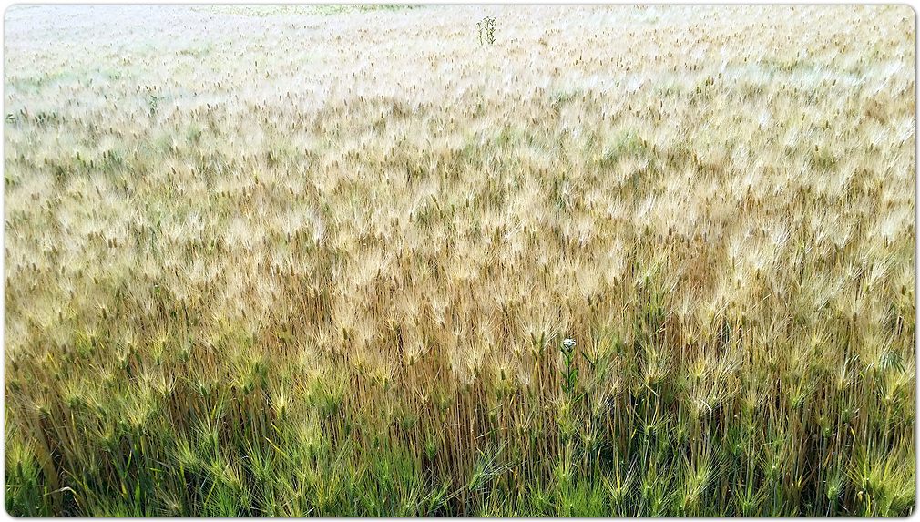 20150601_170507