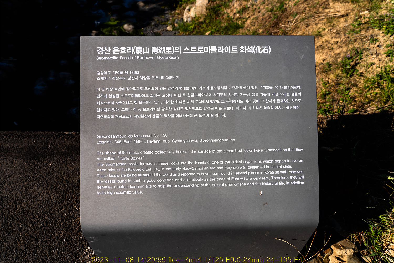 20231109_112701_654cb3f56fecf.jpg