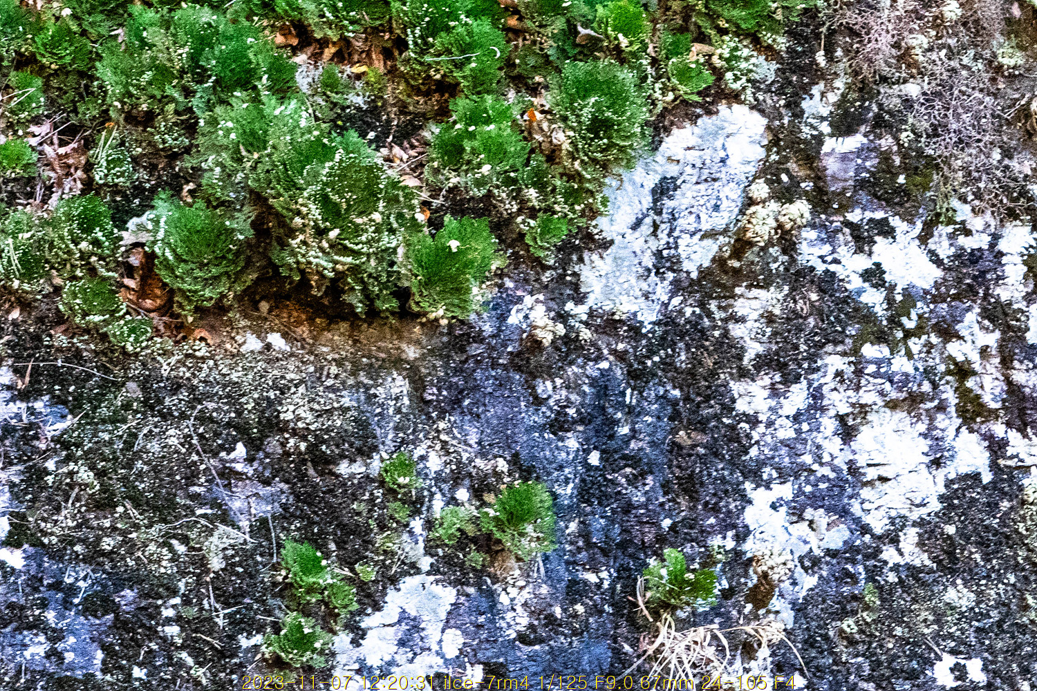 20231117_214326_6557d06eb004d.jpg