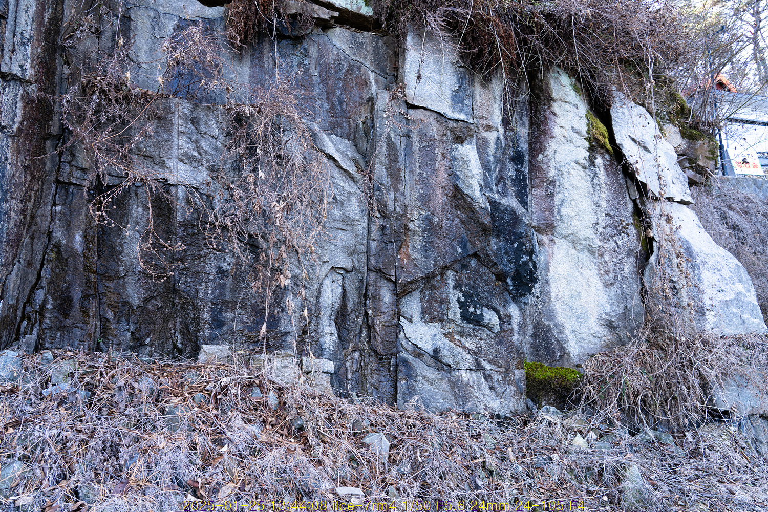 20250130_011055_679ac38fd4942.jpg