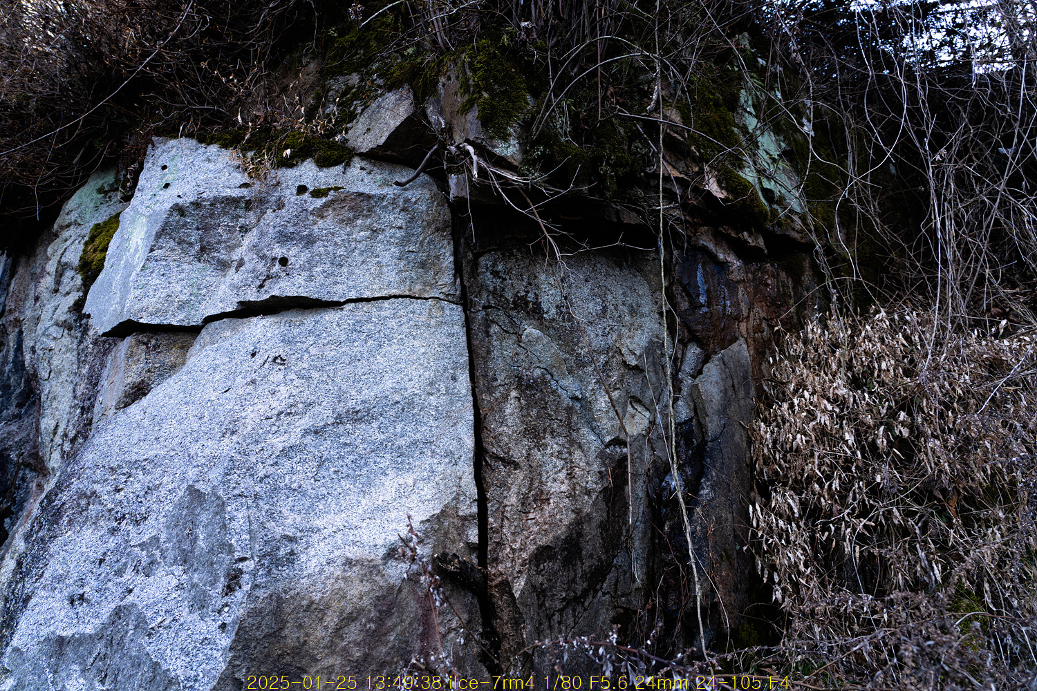 20250130_024510_679ad9a67f00e.jpg