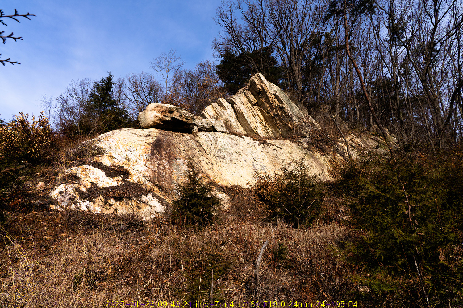 20250203_225939_67a13c4b5d185.jpg