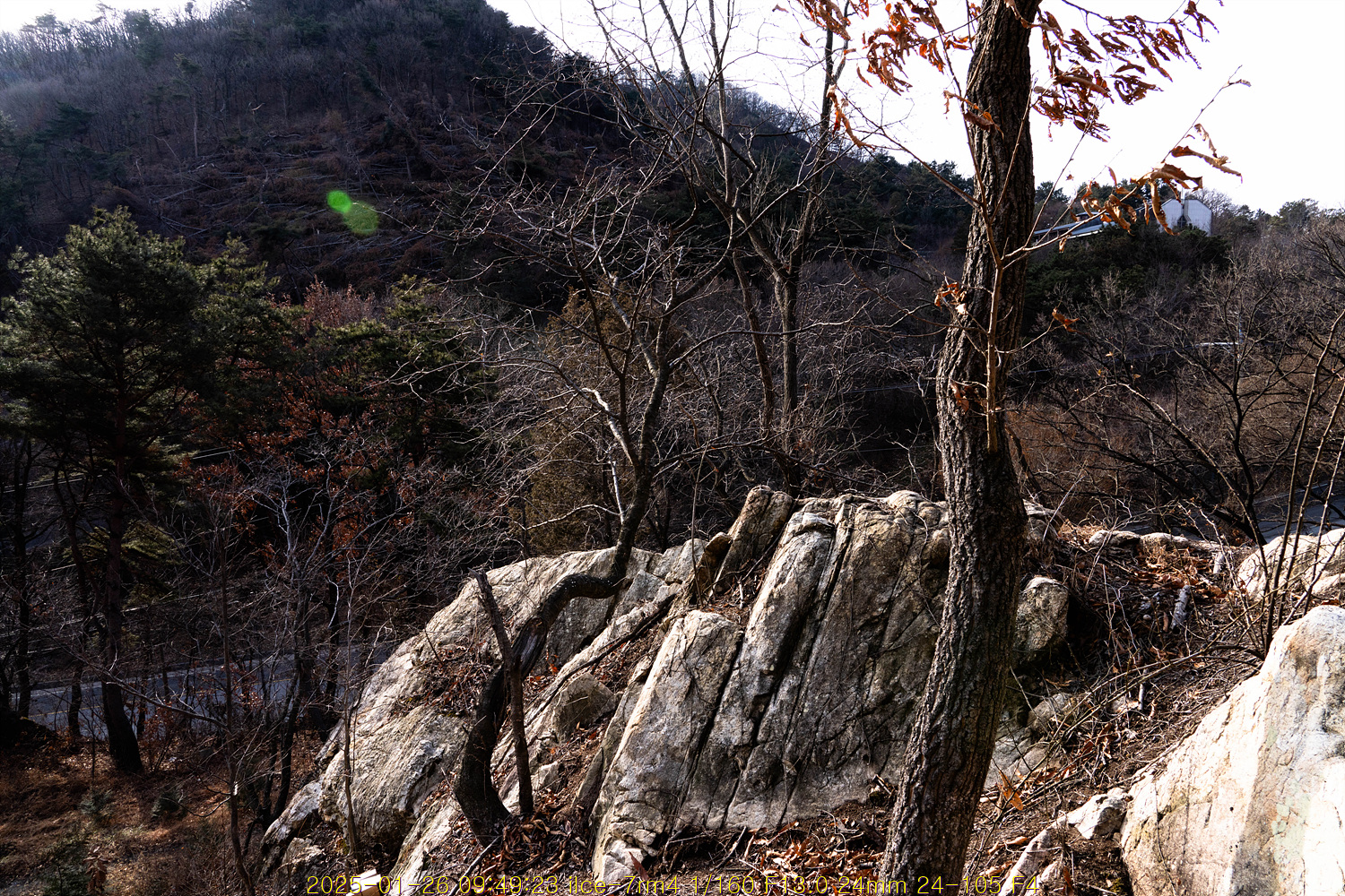 20250203_232001_67a141117a62e.jpg