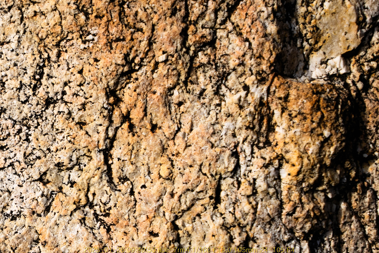 20250203_232100_67a1414c616d1.jpg