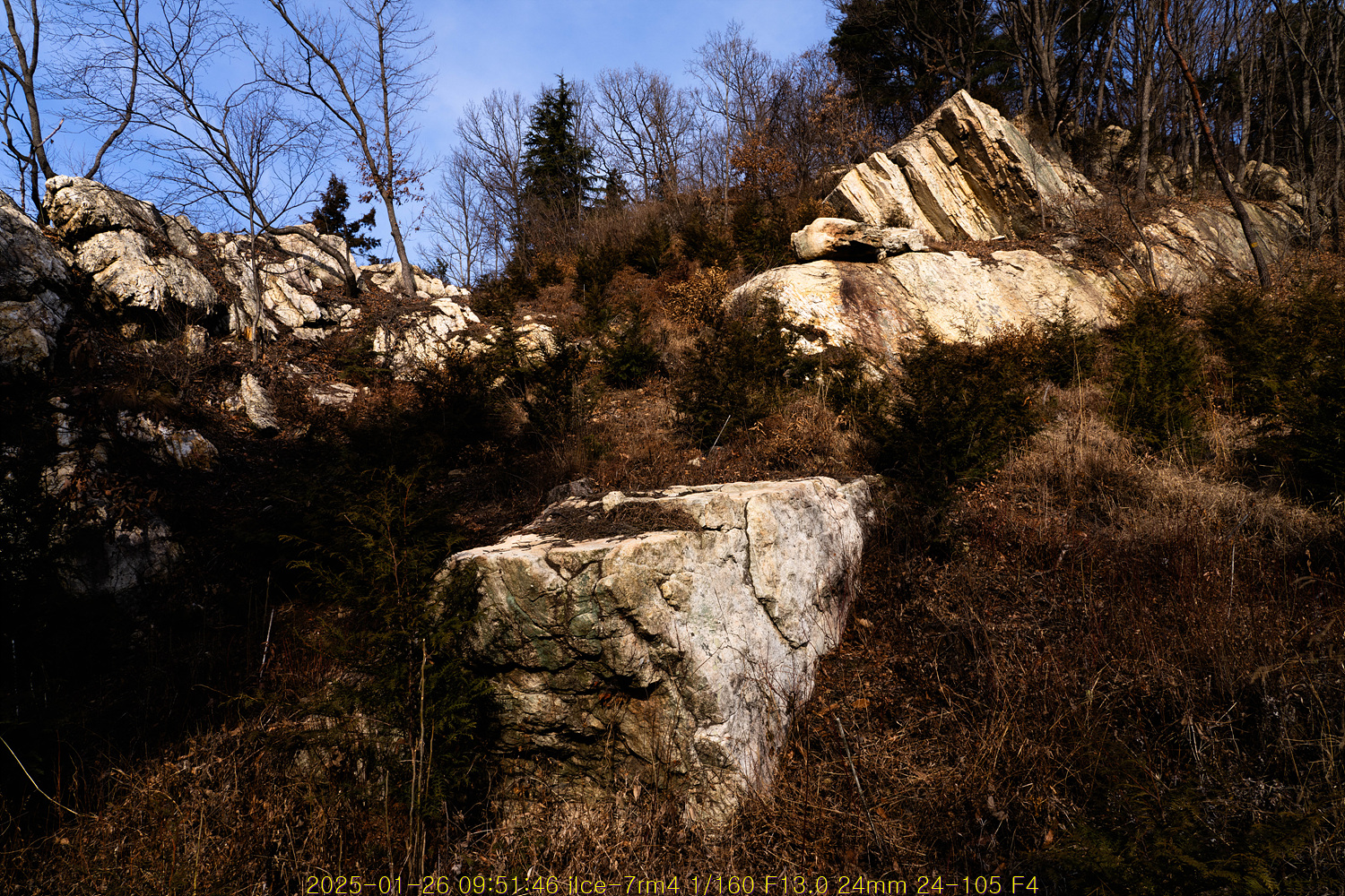 20250203_232146_67a1417a8ce5d.jpg