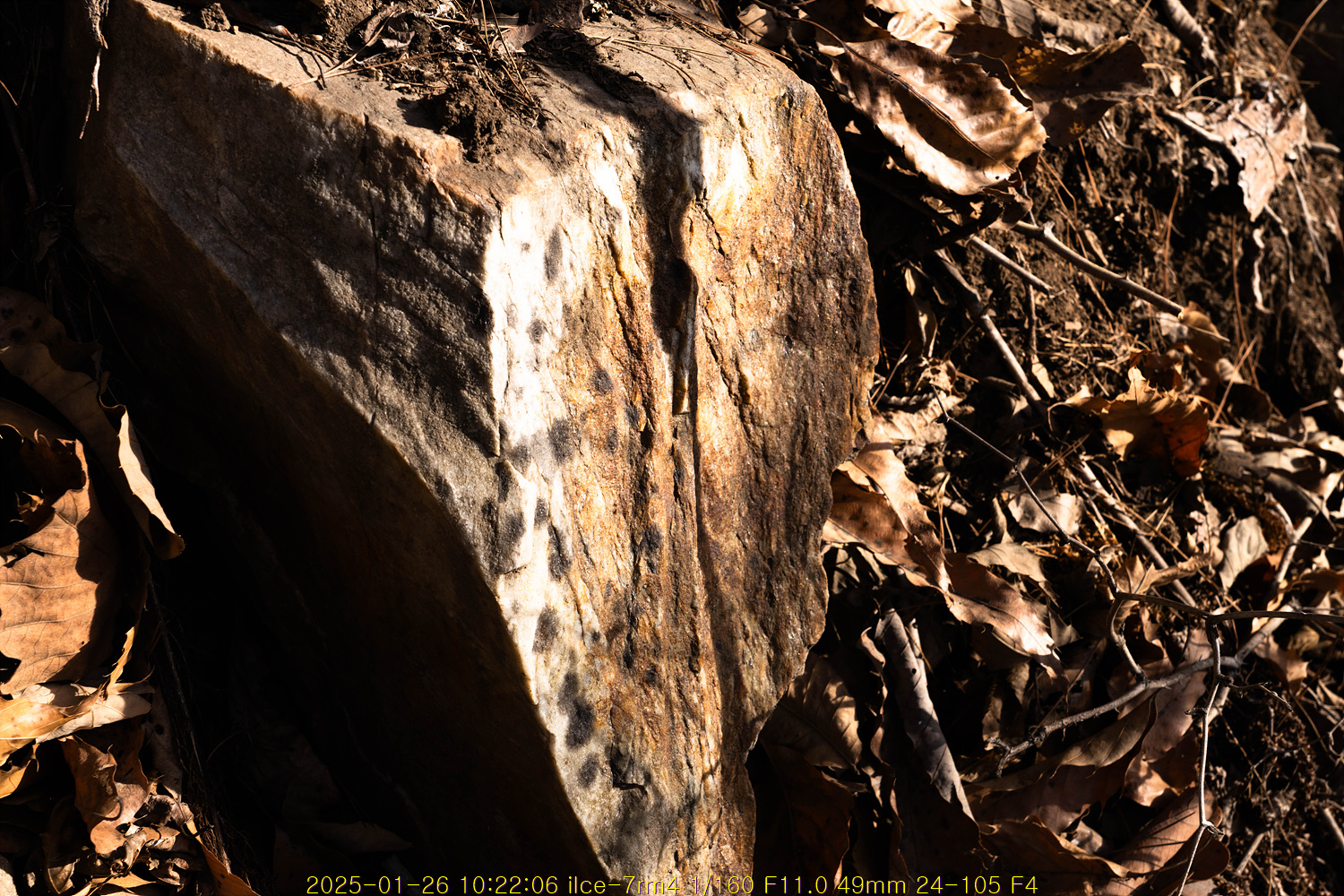 20250204_000556_67a14bd4947f2.jpg