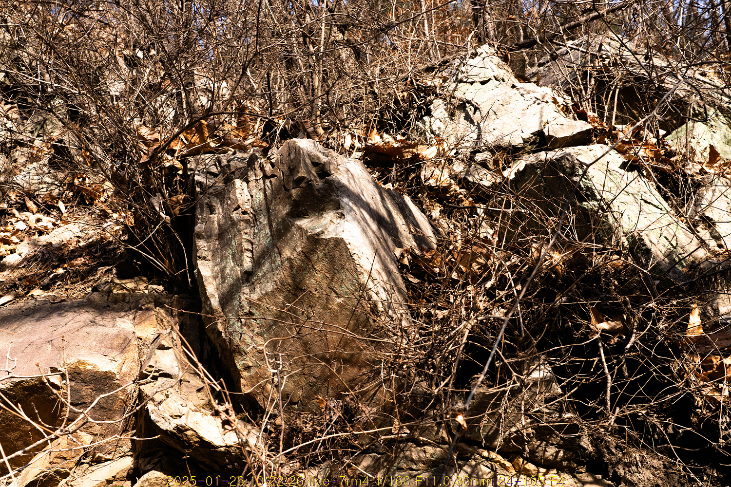 20250204_000641_67a14c017ca10.jpg