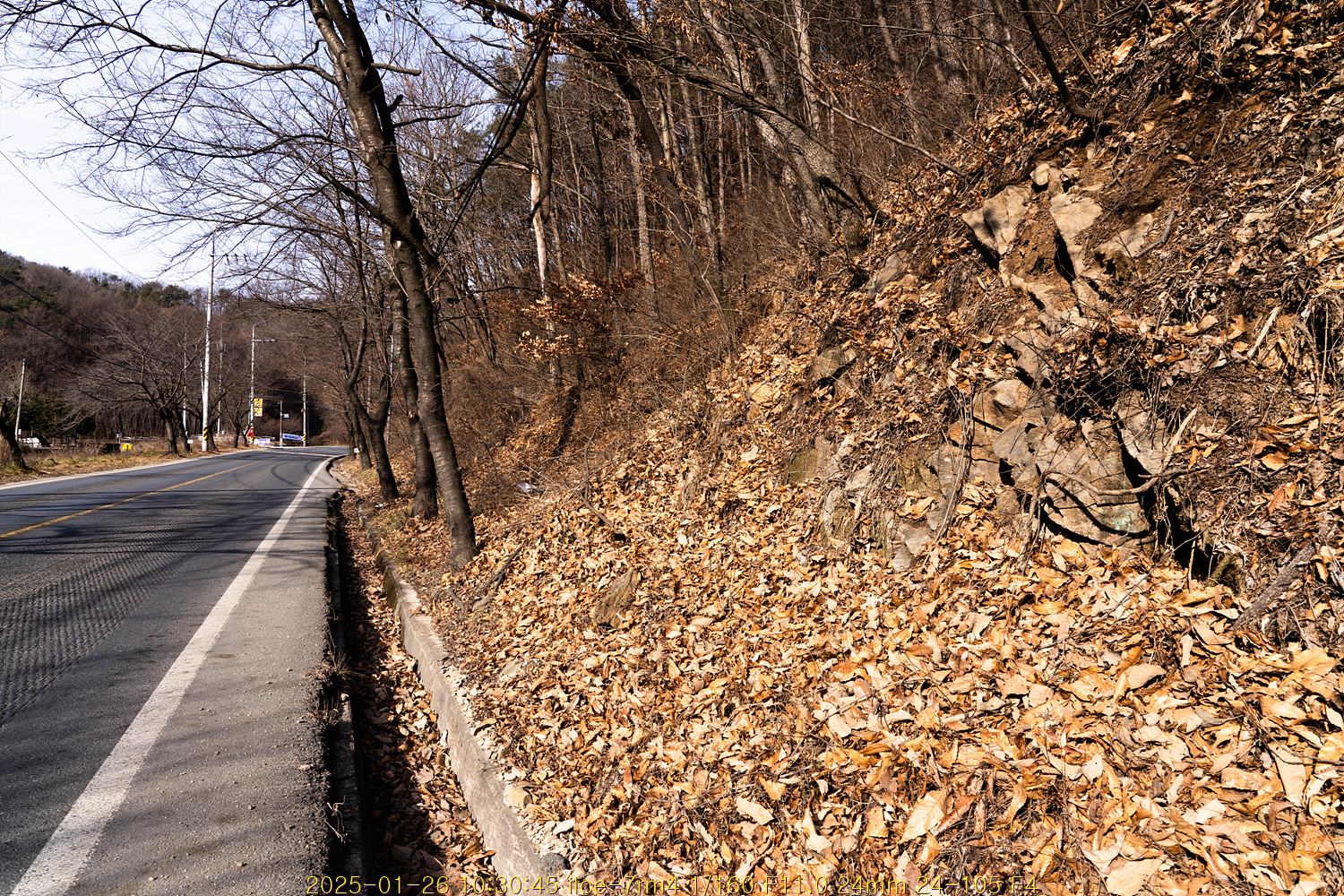 20250204_001318_67a14d8e5a3fd.jpg
