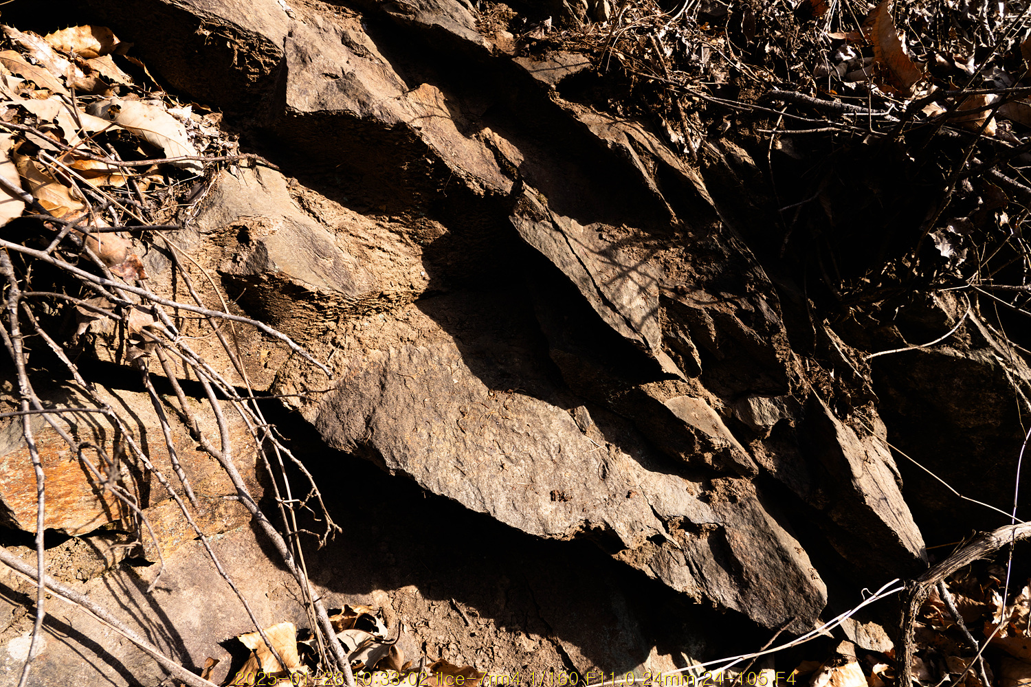 20250204_001559_67a14e2fc51d5.jpg