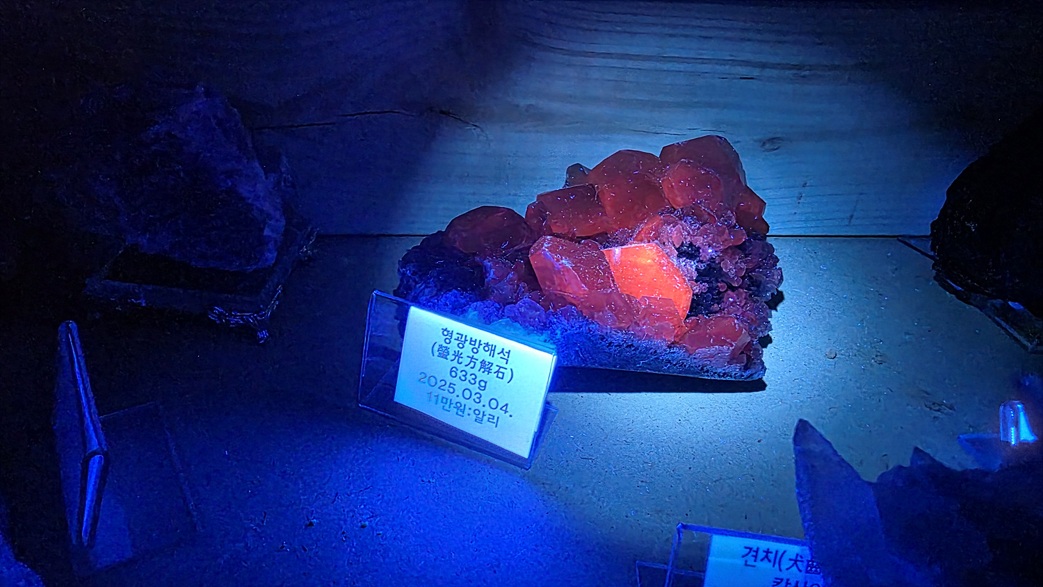 20251211_092741_693a807d4ec3f.jpg