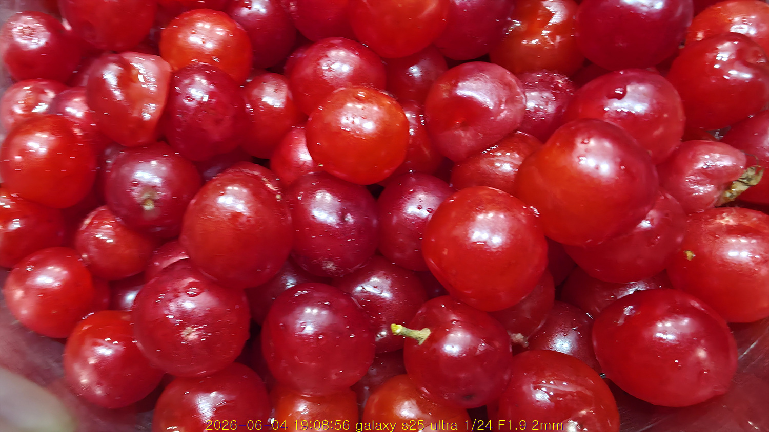 20260604_193933_c796ce9151.jpg
